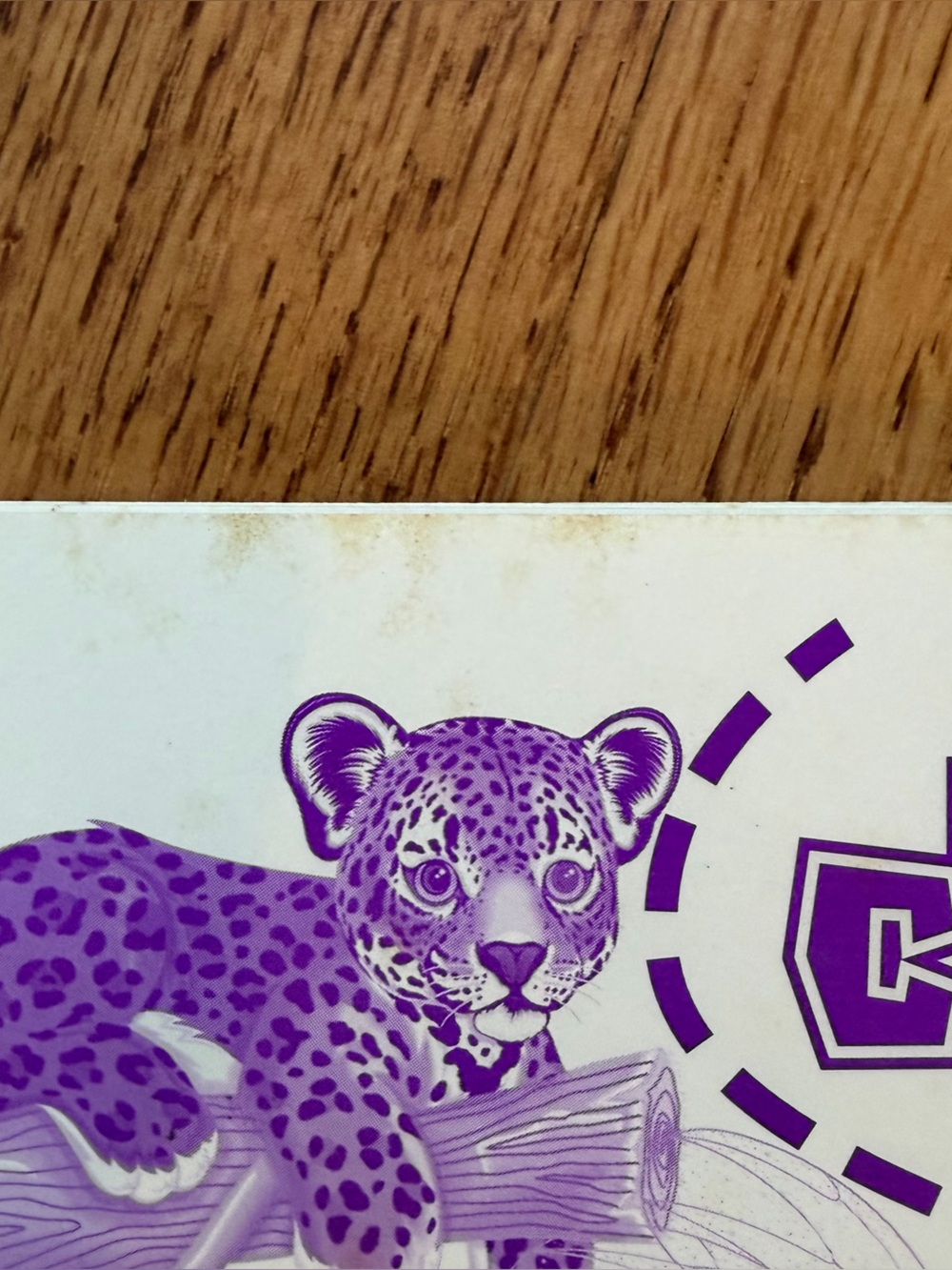Vintage 90s Lisa Frank Spiral Notebook Hollywood Bear Beverly Bearific Buckaroos - Picture 12 of 16